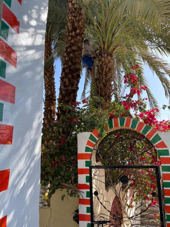 Nubian Dreams Guest House 아스완 외부 사진